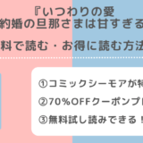 raw/zip/漫画バンクでいつわりの愛~契約婚の旦那さまは甘すぎる~の単行本を無料で読む違法性を紹介!完結まで読めるか調査
