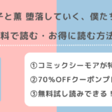 奈々子と薫 堕落していく、僕たちは。を違法pdf/漫画バンクで全巻無料で読むリスクを紹介!お得な電子コミックサイトは?