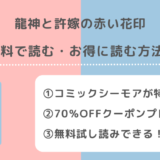龍神と許嫁の赤い花印を全巻無料で漫画rawで読むリスク解説!お得な電子コミックサイトは?